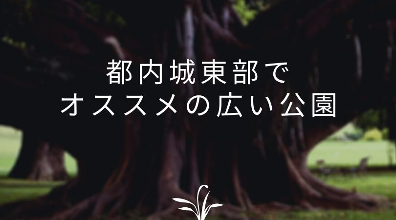 22年最新版 都内城東部でオススメの広い公園５選 ネコフクロウのおでかけマップ